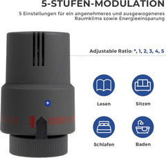 VANCOCO 1/2" Eck Anthrazitgrau Thermostatventil + Rücklaufventil Set | Flüssigfühler, Dichtringanschluss, Frostschutzstellung, Norm EN215 Heizungsventil Zubehör