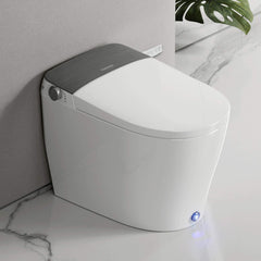 VANCOCO Smart One-Piece Toilet with Built-In Bidet, Heated Seat, Night Light & Warm Water Wash